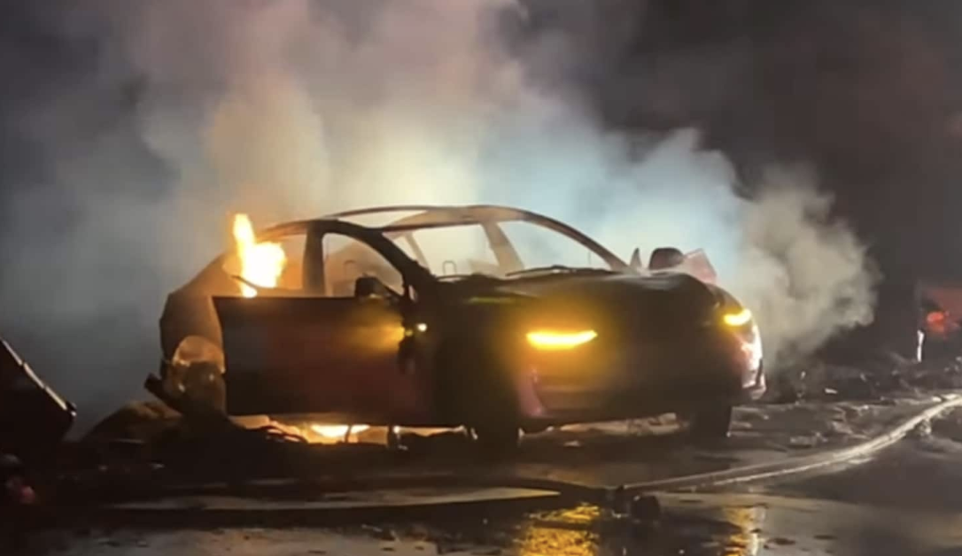 Trump Vows to Put Elon Musk in Charge of Government Efficiency Commission